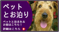 �ɓ��̃y�b�g�Ɣ��܂��h