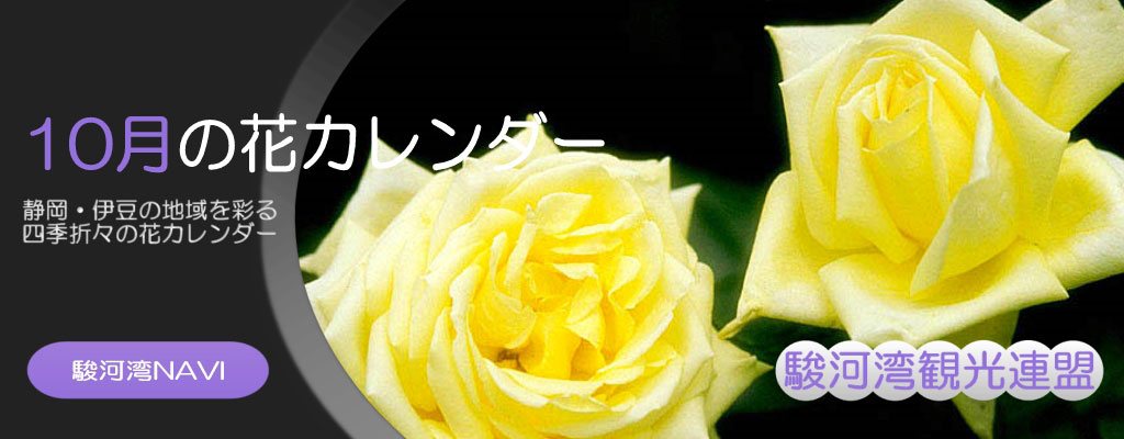 静岡の10月の花カレンダー