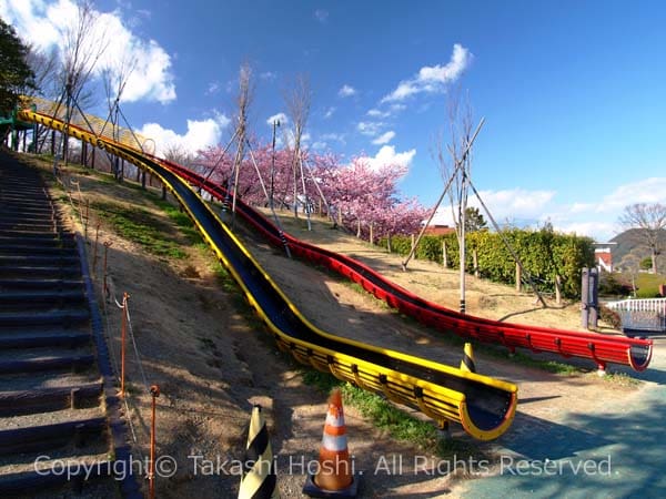 グリッサンド型の蓮華寺池公園のジャンボすべり台