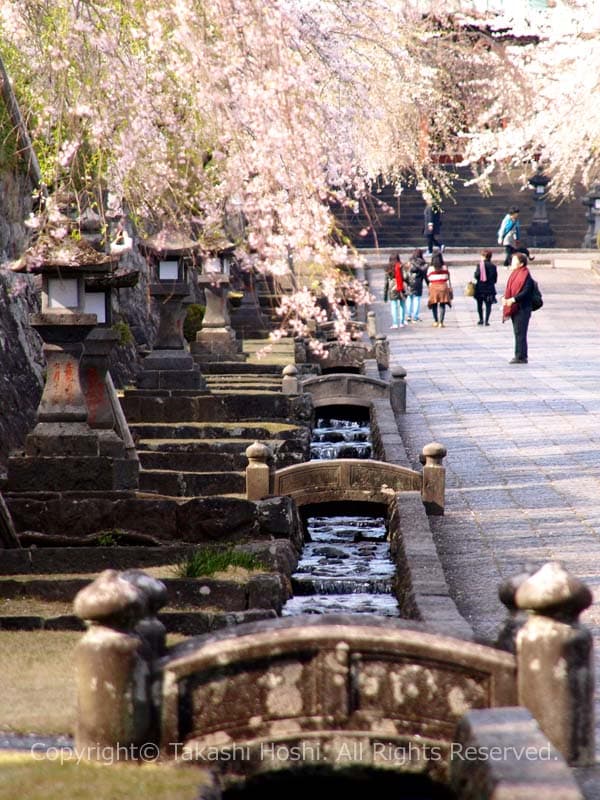 大石寺の石橋が架かる参道脇の水路の写真
