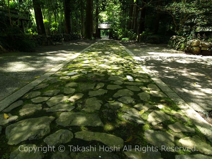 増善寺参道の石畳