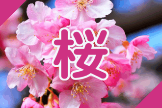 静岡・伊豆の桜の名所