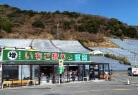 まるぞういちご狩り組合