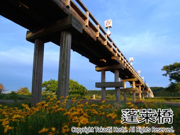 静岡の橋　蓬萊橋