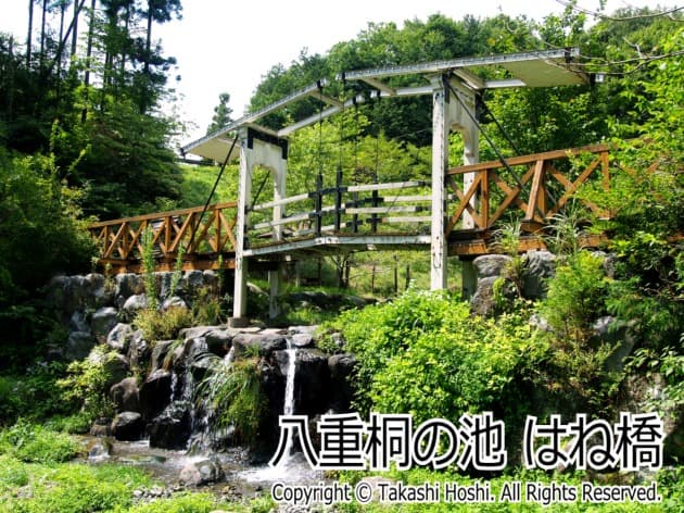 静岡の橋　八重桐の池はね橋