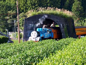 地名のトンネル・日本一短いトンネル