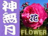 10月の静岡の花カレンダー