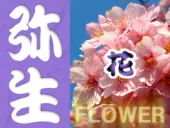 3月の静岡の花カレンダー