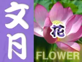 7月の静岡の花カレンダー