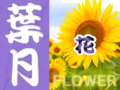 8月の静岡の花カレンダー