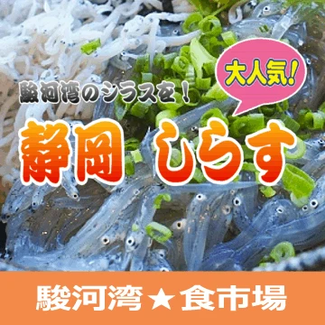 静岡の生しらす・釜揚げシラス通販