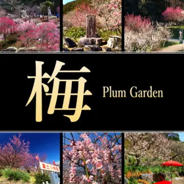 静岡県の梅園・梅まつり