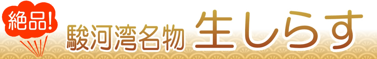 静岡でシラスのうまい店