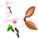 アーモンドまつり