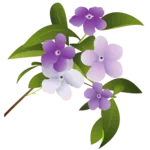 了仙寺 香りの花祭り