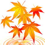 滝ノ谷不動峡もみじまつり