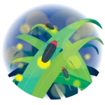 ささまほたるの里まつり