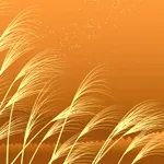 秋のすすき観賞会