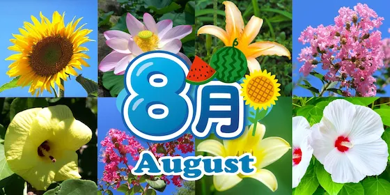 静岡 8月の花カレンダー
