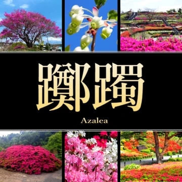 静岡県のツツジ・つつじ園