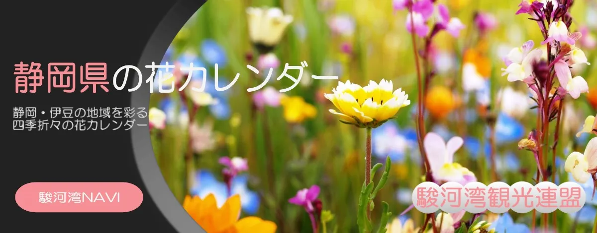 静岡県の花カレンダー