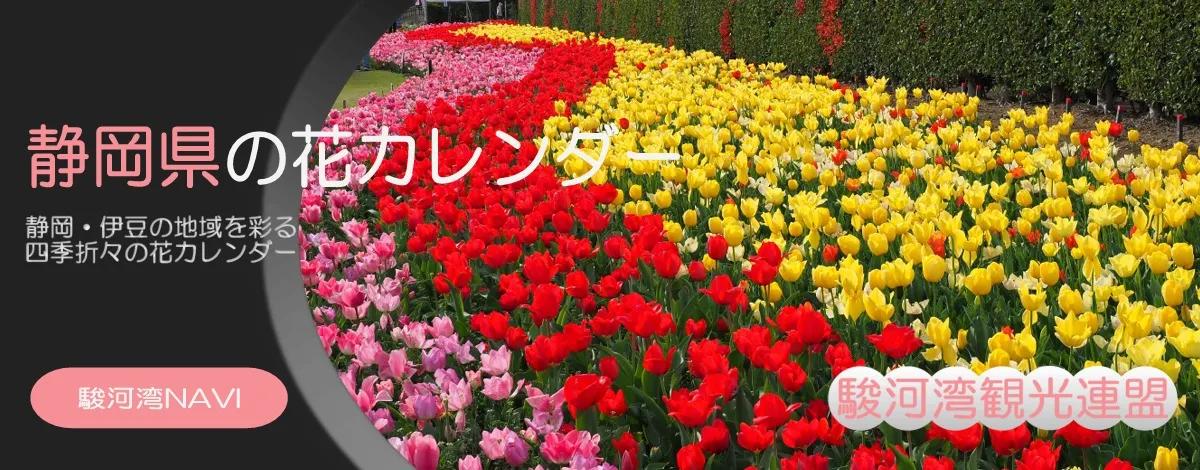 静岡県の花スポット