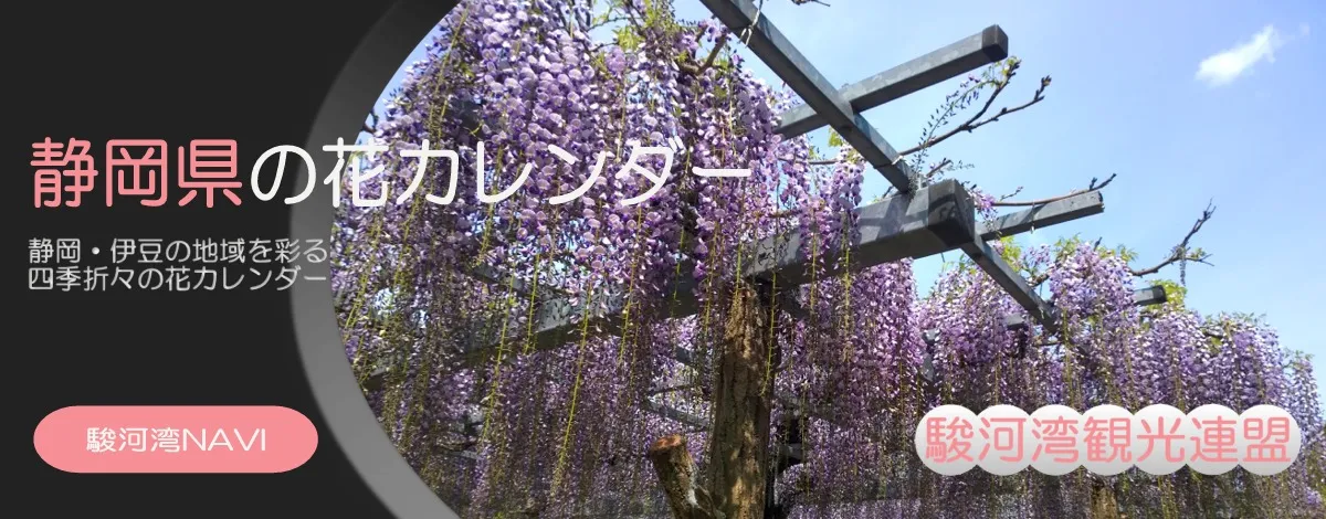 静岡県の花の名所
