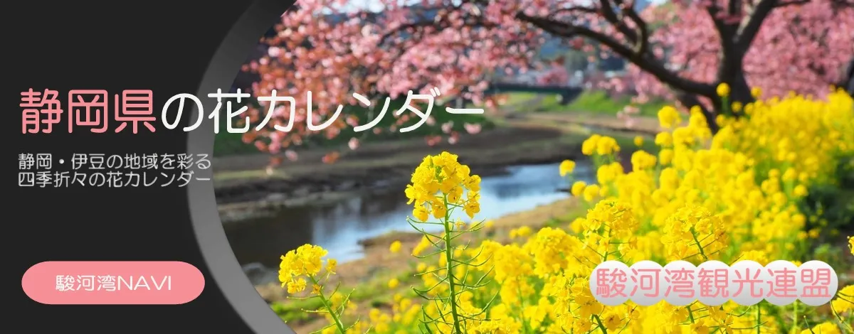 静岡・伊豆の花カレンダー