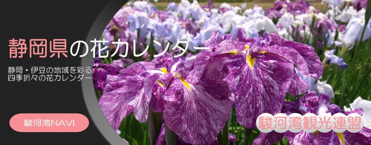 静岡の花カレンダー