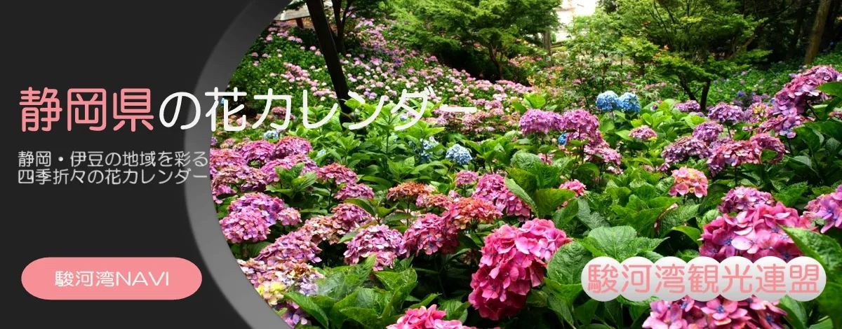 静岡県の花暦