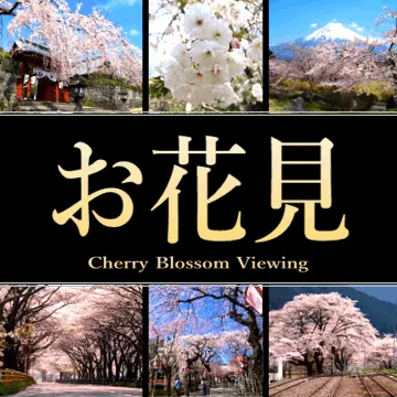 静岡県のお花見スポット