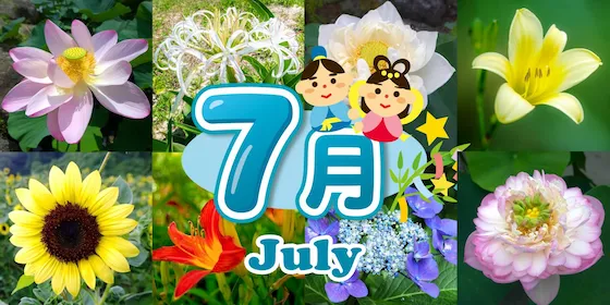 静岡 7月の花カレンダー