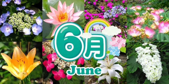 静岡 6月の花カレンダー