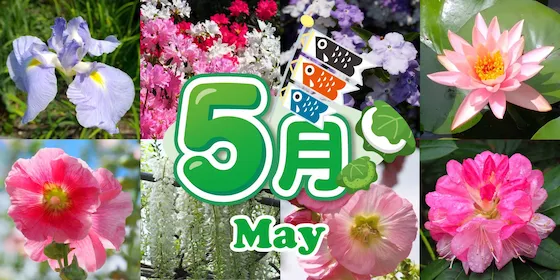 静岡 5月の花カレンダー