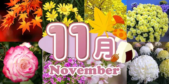 静岡 11月の花カレンダー