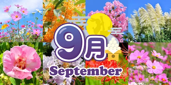 静岡 9月の花カレンダー