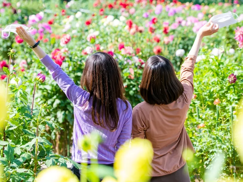 駿河湾の旅を楽しむ観光客