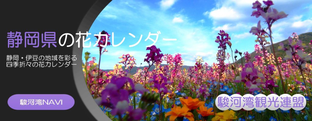 静岡の花カレンダー