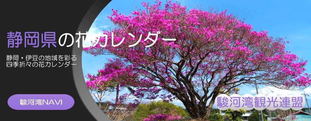 静岡県の花カレンダー