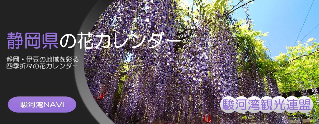 伊豆の花暦