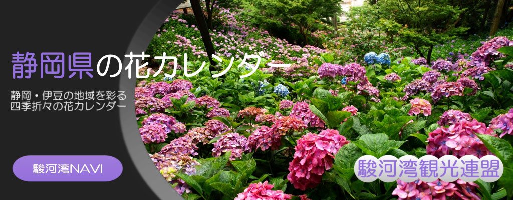 静岡県･伊豆の季節の花