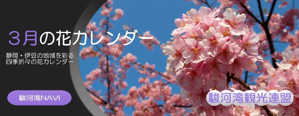 静岡の3月の花カレンダー