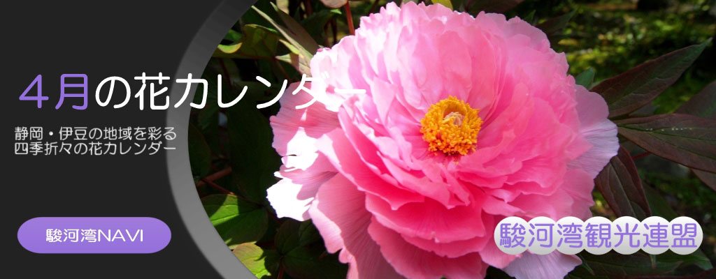 静岡の4月の花カレンダー