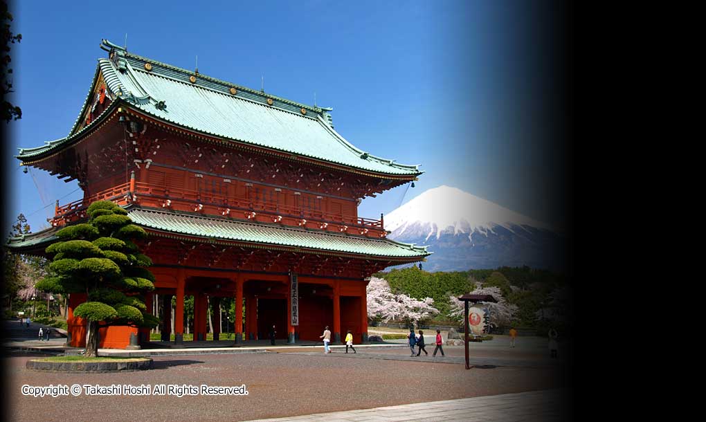 大石寺 富士宮市観光ガイド 駿河湾 百景