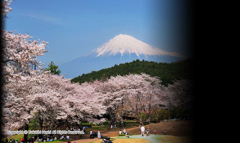 岩本山公園の写真