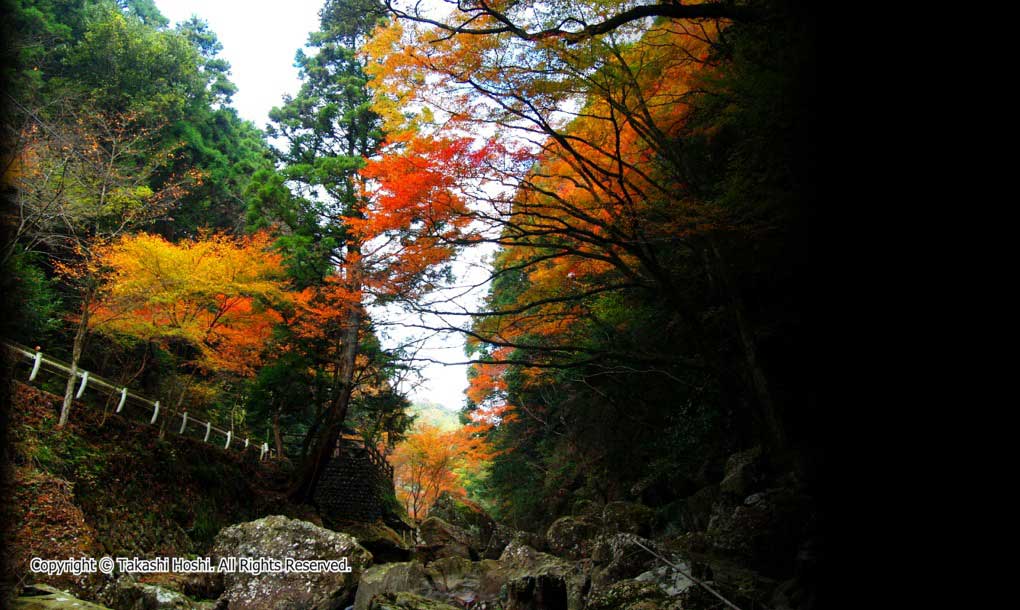 滝ノ谷不動峡の写真