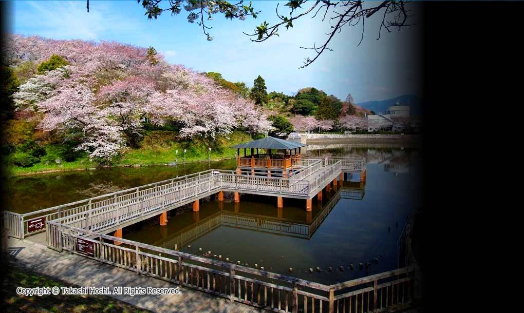 清水船越堤公園