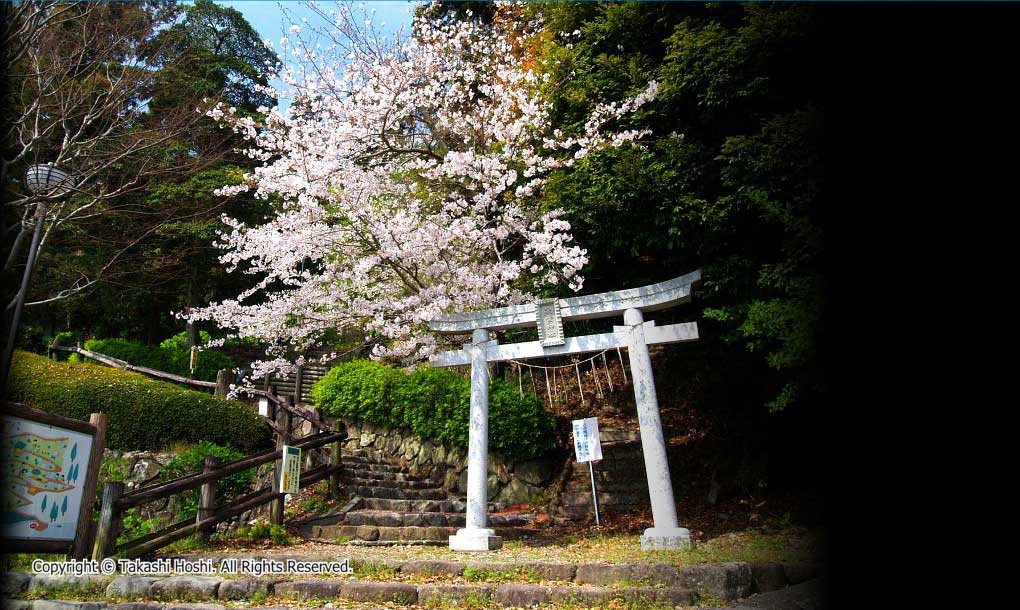 秋葉公園 牧之原市観光ガイド 駿河湾 百景