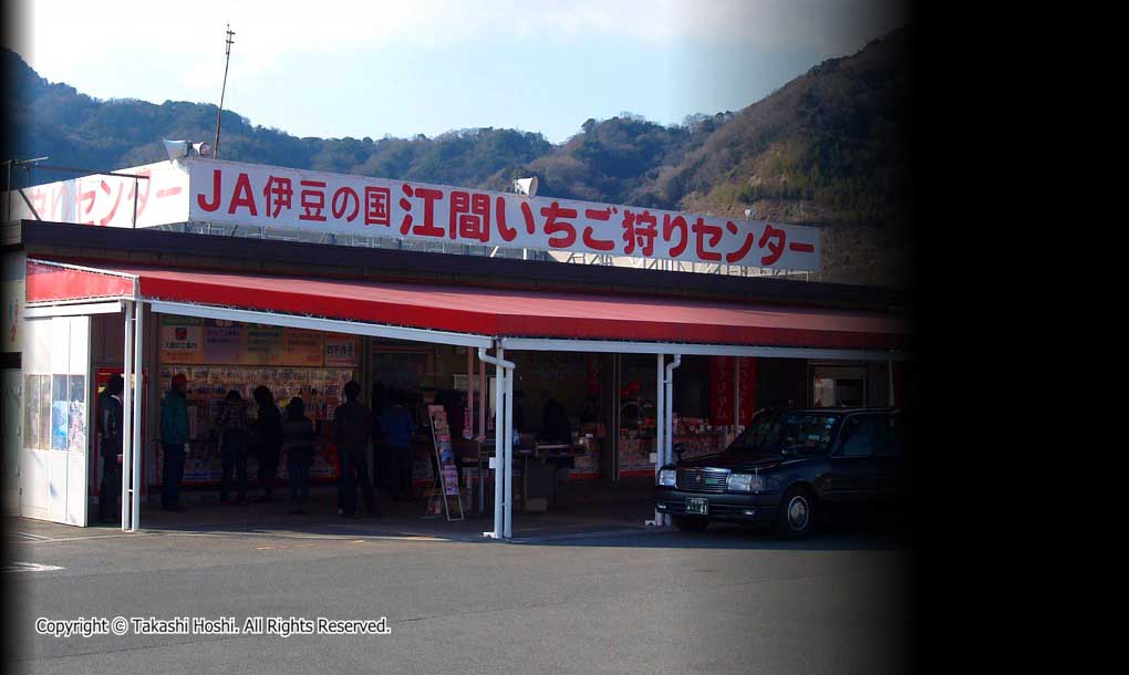 江間いちご狩りセンター