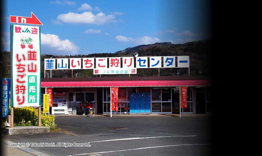 韮山いちご狩りセンター